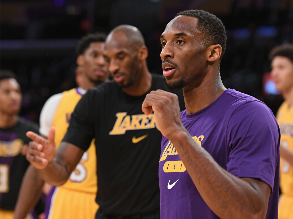 入的了解 入的了解